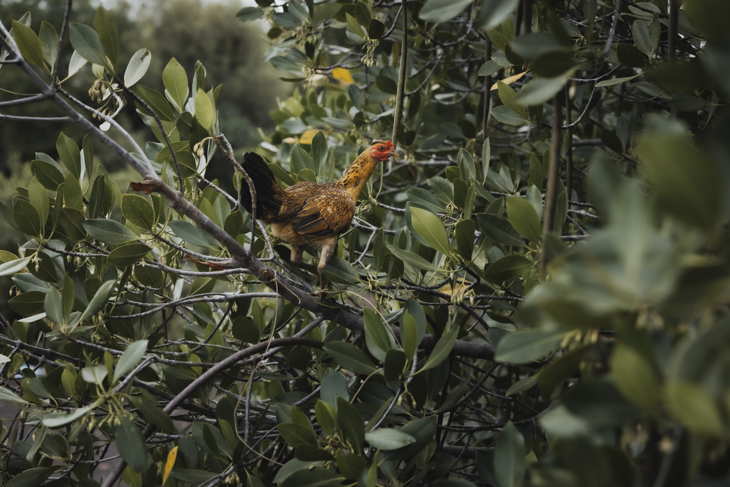 Andrea’s Lieblingsstücke